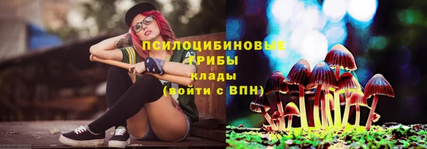 дурь Корсаков