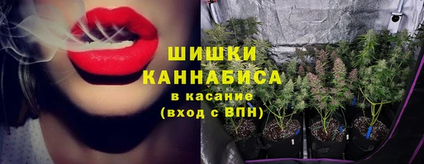 PSILOCYBIN Алзамай